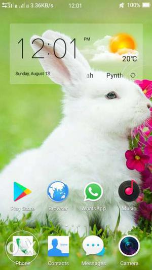 Oppo a33f everything is fyn its 4g volte n one