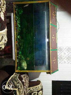 3feet fish tank
