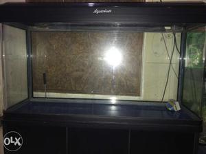 4 feet SOBO Aquarium