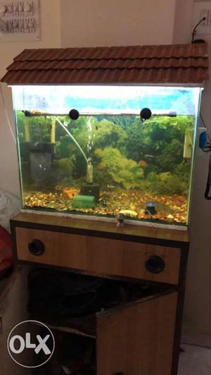 Aquarium Tank for sale - 24x18x12 inch
