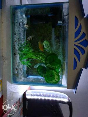 Aquarium tank with filter and 4 fishes Price not