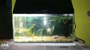 Black And Silver Fish Tank