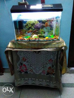 Fish Aquarium With Plastic Lid, 3 months old with 5 fishes.