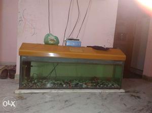 Fish aquarium for sale urjunt basis 4 ft length