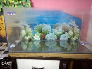 Fish aquarium in good condition
