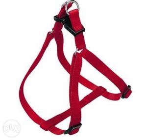Harness for dog