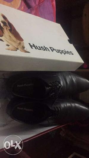 Hush Puppies Box