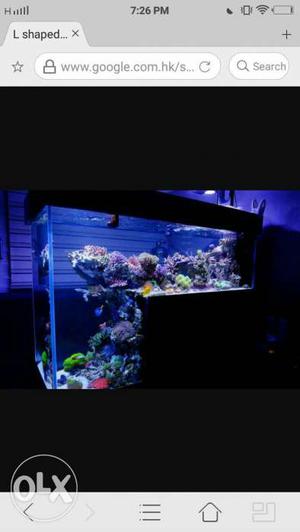 Marine fishes in stock