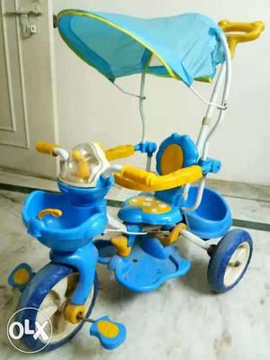 Toddler's Blue And Teal Trike