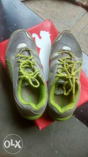 Gray-and-green Puma Running Shoes On Box