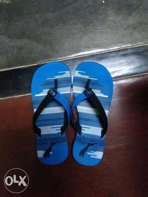 Pair Of Blue-and-white Puma Flip Flops