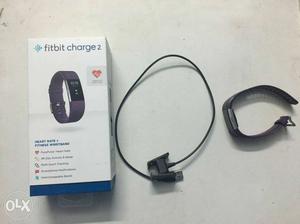 Plum Strap Fitbit Charge 2HR
