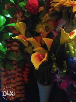 Yellow And Red Clustered Flowers