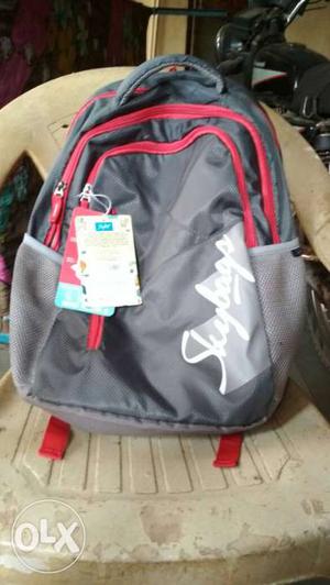New Gray And Red Skybags Backpack