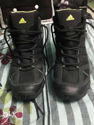 Pair of Adidas shoes original new shoes price is