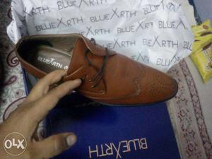 Paired Brown Wing Tip Oxford Shoe With Box
