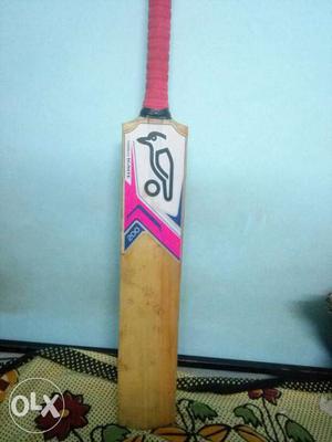 Cricket bat Unused