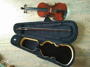 New Violin with new Bag...