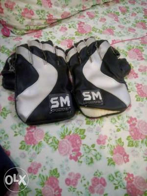 Pair Of Gray-and-black SM Gloves