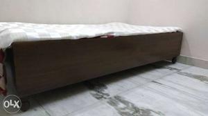 Singal Bed