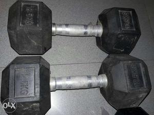 Two 12.5 Kg Fixed Weight Dumbbells Two 15 Kg Fixed Weight
