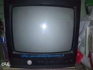 Government tv