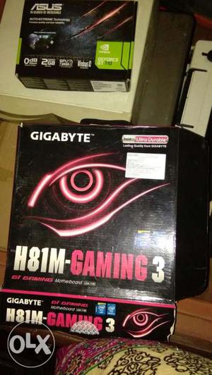 Gt gb graphic card only