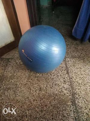 Blue Exercise Ball
