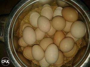 Eggs supply