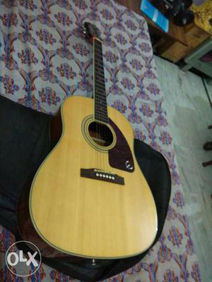 Epiphone professional Acoustic jumbo guitar