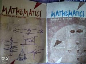 NCERT Mathematics Part 1 And 2 Books