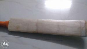 SG English Willow AGrade bat in good condition