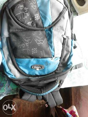 Blue And Gray Zip Backpack