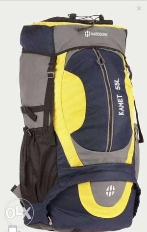 Gray, Blue, And Yellow Backpack