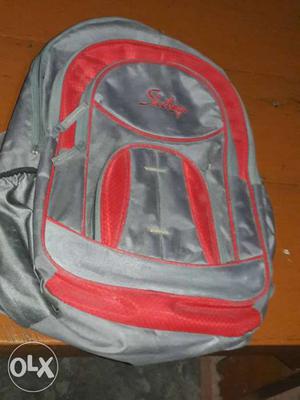 Grey And Red Skybags Backpack