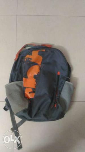 Skybags backpack