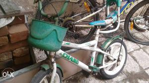 Toddler's Green And White Bicycle