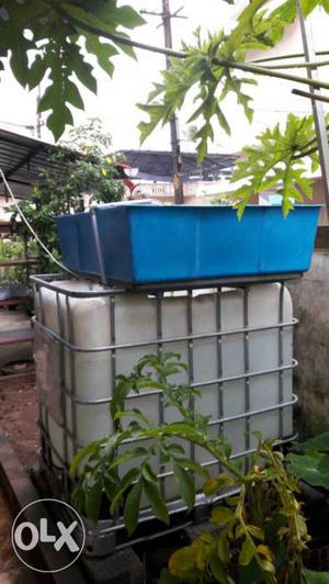 Aquaponic System for Organic Fish Veg in Kochi
