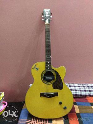 Givson Venus Acoustic Guitar