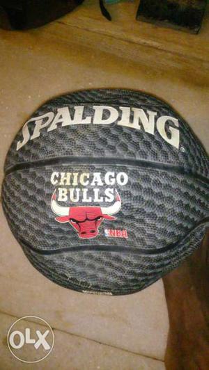Grey Spalding Chicago Bulls Basketball
