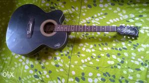 Guiter for lefties..made of hoffner..with a cover
