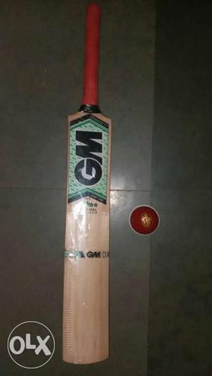New season cricket bat + fibre ball