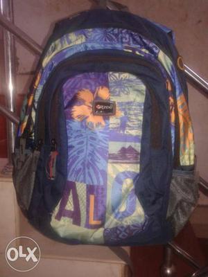 Ritzee brand backpack bag