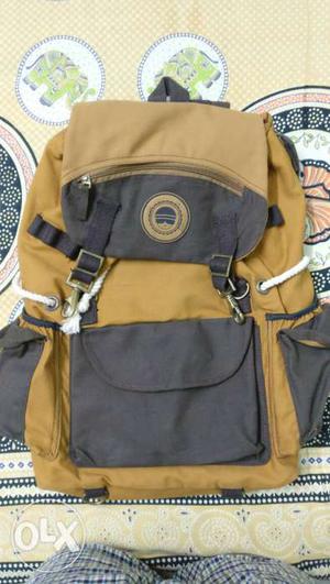 Stiff collar Brown And Black Backpack