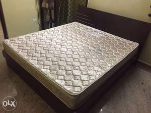 King size Bed with hydraulic storage & 8" spring mattress