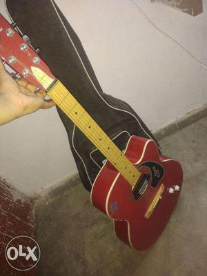 Semi Acaustic Guitar