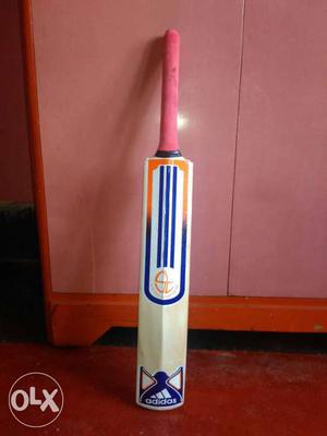 This bat is 1 month old.I am from gopalnagar,kalyanpur