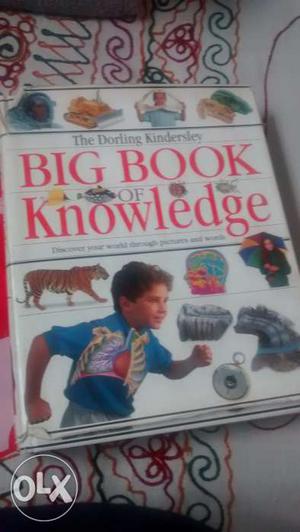 Dk big book of knowledge perfect for kids