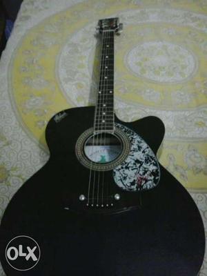 Hobner Guiter 1.5 Year in good condition
