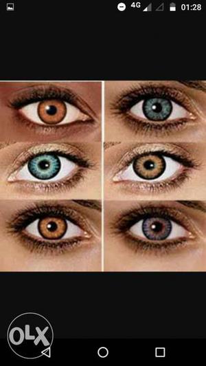 Brown And Blue Stylish Contact Lense Seal Pack
